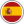Español (Spanish)